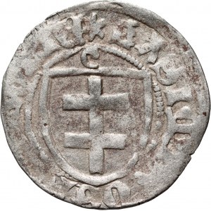 Casimiro IV Jagellone 1446-1492, scellino, Toruń, mezzaluna