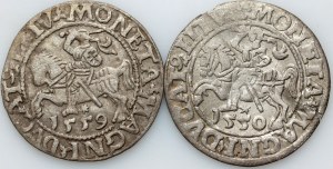 Sigismund II. Augustus, halber Pfennig 1550, halber Pfennig 1559, Vilnius