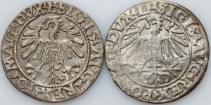 Sigismund II. Augustus, halber Pfennig 1550, halber Pfennig 1559, Vilnius