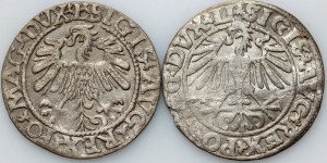 Sigismond II Auguste, demi-penny 1550, demi-penny 1559, Vilnius
