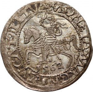 Sigismund II. Augustus, halber Pfennig 1562, Vilnius