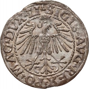 Sigismond II Auguste, demi-penny 1548, Vilnius