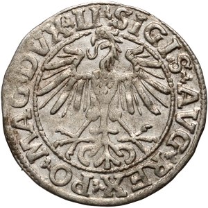 Sigismond II Auguste, demi-penny 1550, Vilnius