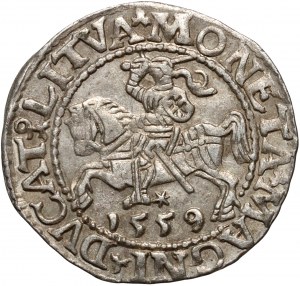 Sigismond II Auguste, demi-penny 1559, Vilnius