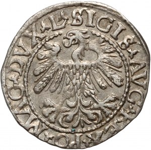 Sigismond II Auguste, demi-penny 1559, Vilnius