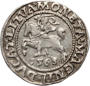Sigismond II Auguste, demi-penny 1563, Vilnius, petite chasse