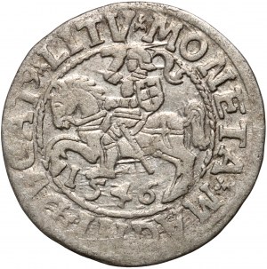 Sigismondo II Augusto, mezzo penny 1546, Vilnius, coda abbassata del Pogone