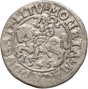 Sigismund II. Augustus, halber Pfennig 1546, Vilnius, gesenkter Schwanz des Pogons