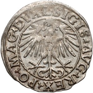 Sigismund II. Augustus, halber Pfennig 1548, Vilnius