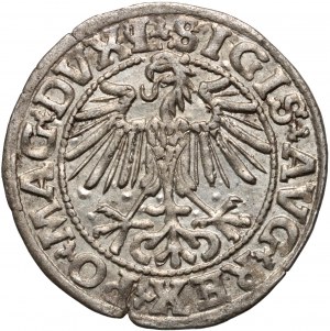 Sigismondo II Augusto, mezzo penny 1549, Vilnius