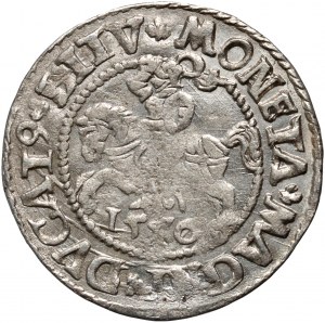 Sigismondo II Augusto, mezzo penny 1546, Vilnius