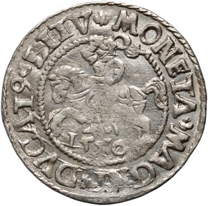 Sigismund II. Augustus, halber Pfennig 1556, Vilnius