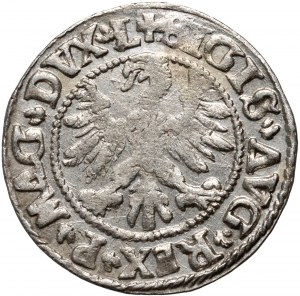 Sigismondo II Augusto, mezzo penny 1546, Vilnius