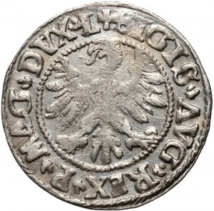 Sigismond II Auguste, demi-penny 1556, Vilnius