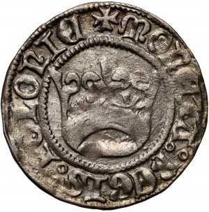 Aleksander Jagiellończyk 1501-1506, mezzo penny senza data, Cracovia