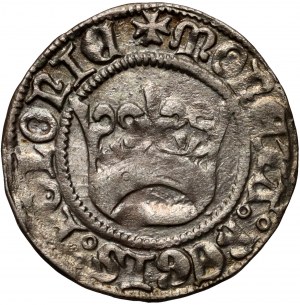 Aleksander Jagiellończyk 1501-1506, demi-penny sans date, Cracovie