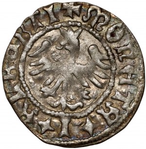 Jan Olbracht 1492-1501, demi-penny sans date, Cracovie