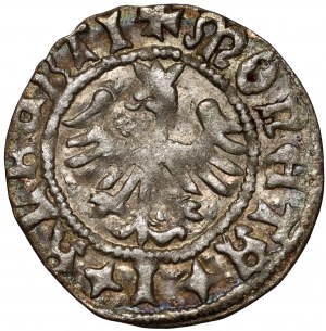 Jan Olbracht 1492-1501, mezzo penny senza data, Cracovia