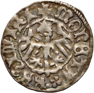 Kazimierz IV Jagiellończyk 1446-1492, halber Pfennig ohne Datum, Krakau