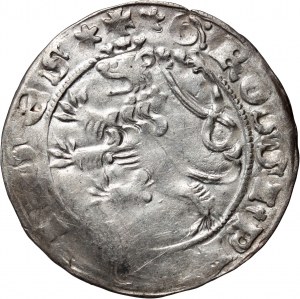 Boemia, Giovanni I di Lussemburgo 1310-1346, centesimo di Praga