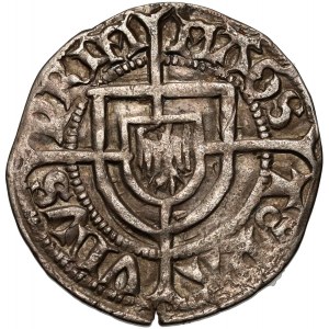 Teutonic Order, Paweł von Russdorff 1422-1441, szeląg