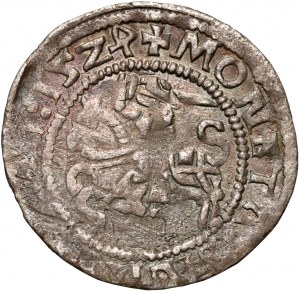 Sigismund I. der Alte, halber Pfennig 1524, Vilnius