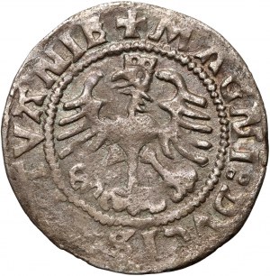 Sigismund I. der Alte, halber Pfennig 1524, Vilnius