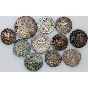 Polonia, set di monete (11 pezzi)