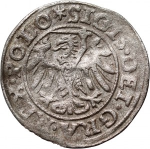 Sigismond Ier le Vieux, shilling 1546, Gdansk