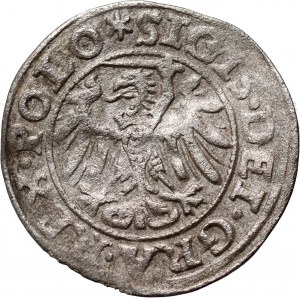 Žigmund I. Starý, šiling 1546, Gdansk