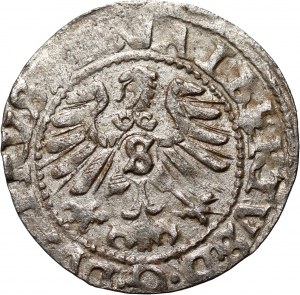 Ducal Prussia, Albrecht Hohenzollern, 1560 shekel, Königsberg