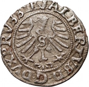 Prussia Ducale, Albrecht Hohenzollern, scellino del 1557, Königsberg