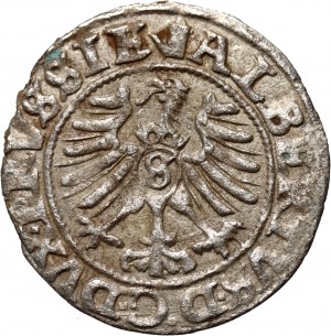 Prusse ducale, Albrecht Hohenzollern, 1558 shilling, Königsberg