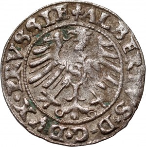 Ducal Prussia, Albrecht Hohenzollern, 1550 shekel, Königsberg