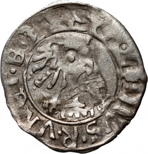 Slesia, mezzo penny 1525, Świdnica