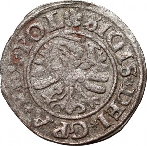 Sigismund I. der Alte, Schilling 1531, Danzig