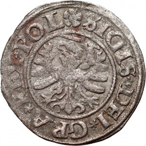 Žigmund I. Starý, šiling 1531, Gdansk