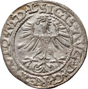 Sigismond II Auguste, demi-penny 1565, Vilnius