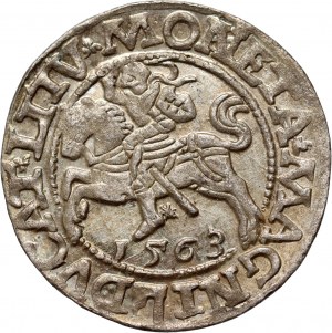 Sigismund II. Augustus, halber Pfennig 1563, Vilnius
