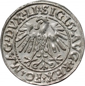 Sigismund II Augustus, half-penny 1547, Vilnius