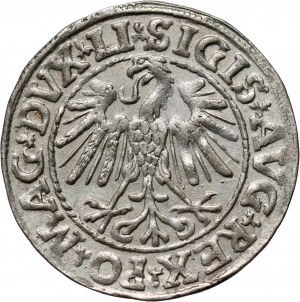 Sigismond II Auguste, demi-penny 1547, Vilnius