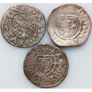Kazimierz IV Jagiellończyk, Zakon Krzyżacki, zestaw szelągów (3 szt.)