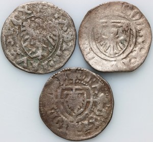 Casimir IV Jagellon, Ordre Teutonique, ensemble de tessons (3 pièces).