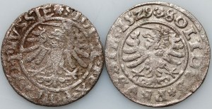 Zikmund I. Starý, šelak 1533, Elbląg, šelak 1529, Toruň
