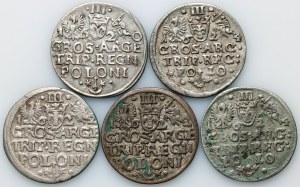 Sigismond III Vasa, ensemble de trojaks datés de 1620-1624 (5 pièces)
