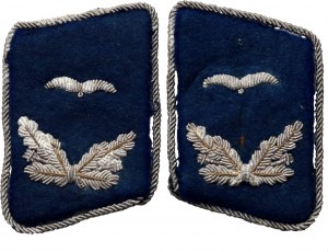 Allemagne Troisième Reich, paire de 2 museaux de collier d'un lieutenant des forces médicales de la Luftwaffe