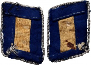 Allemagne Troisième Reich, paire de 2 museaux de collier d'un lieutenant des forces médicales de la Luftwaffe