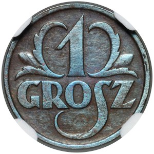 II RP, 1 groš 1928