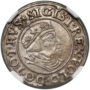 Sigismund I. der Alte, Pfennig 1539, Danzig
