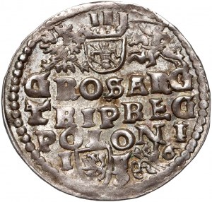 Sigismund III. Wasa, Trojak 1596, Lublin